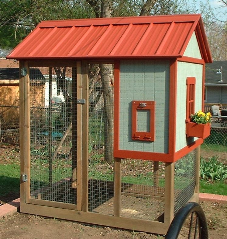  an old kids playhouse she and her family turned in to a chicken coop