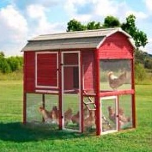Precision Walk-In Red Barn Chicken Coop