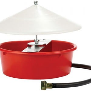 Little Giant Automatic Poultry Waterer w/ Cover 5 Qt.