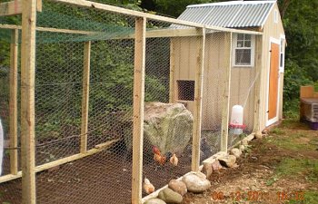6 Day Build A Coop