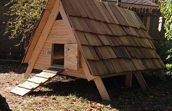 A-Frame Duck House + Day Shelter
