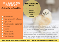 www.backyardchickens.com (3).png