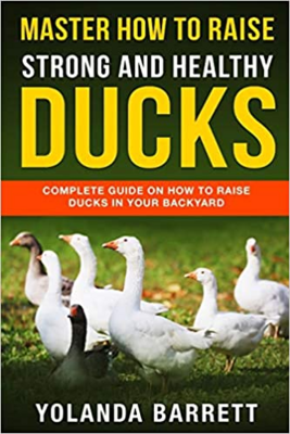 Master How To Raise Strong And Healthy Ducks: Complete Guide