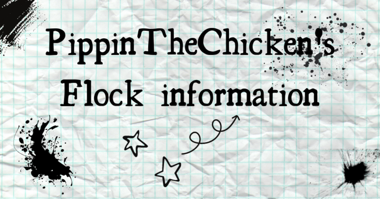 PippinTheChicken's flock information