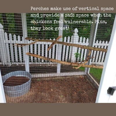 Perches make use of vertical space and provide a safe space when the chickens feel vulnerable....jpg