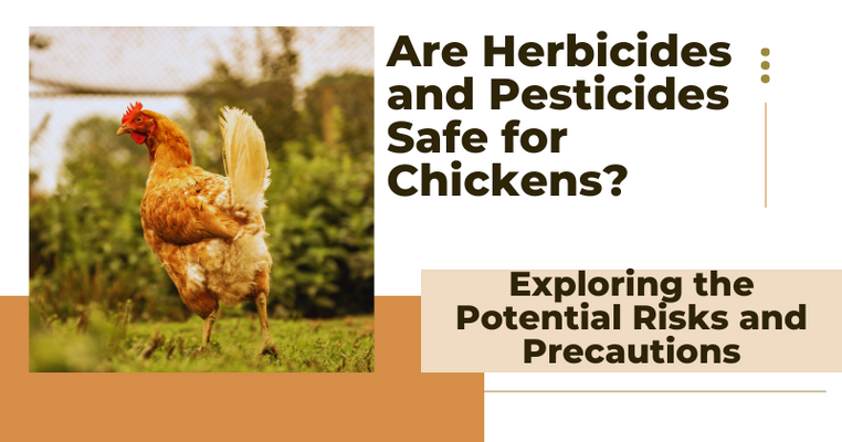 Are Herbicides and Pesticides Safe for Chickens? Exploring the Potential Risks and Precautions