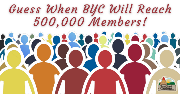 Not Open Yet - Guess When BYC Will Reach 500,000 Members!