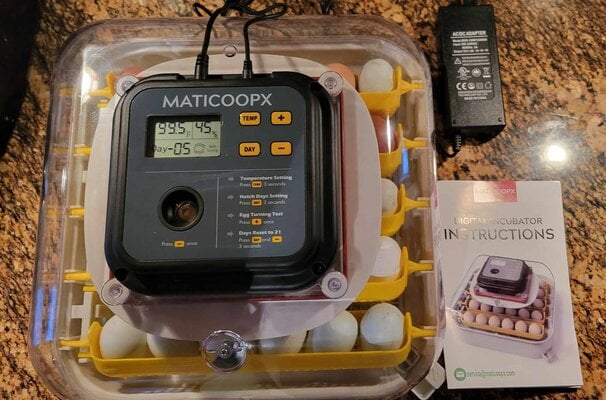 Matticoopx Digital Incubator Review