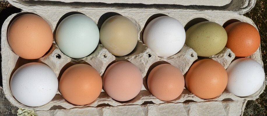Eggs in carton colorful.jpg