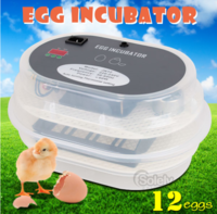 Mini digital egg incubator, 12 quail eggs (9 chicken eggs)
