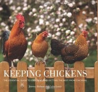 Keeping Chickens: The Essential Guide