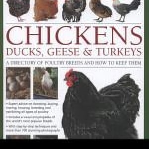 The Practical Guide to Keeping Chickens, Ducks, Geese & Turkeys