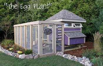 "The Egg Plant" Coop