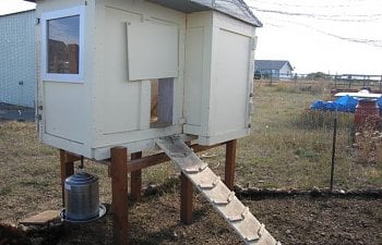 Atholcoops Chicken Coop
