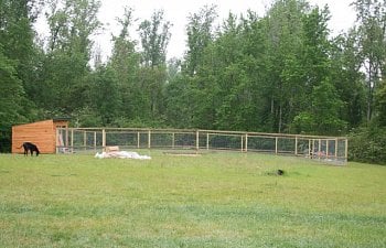 Sunrise Chicks Chicken Coop Plans And Progress Pictures