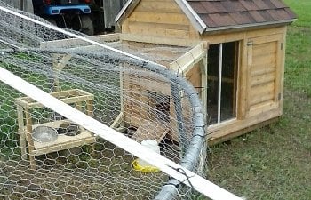 Almost finished small coop, pen