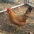 Chicken boy 1156