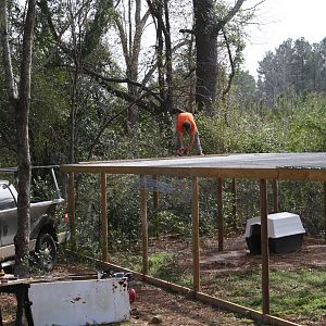 Our Predator Proof, Luxury Chicken Run and Coop