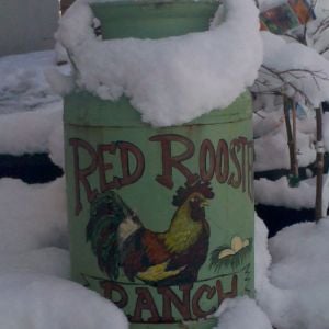My Milk Can I painted many years ago at a time when I was only wishing of having my own chicken ranch. I now have a chicken ranch and I named it Red Rooster Ranch.