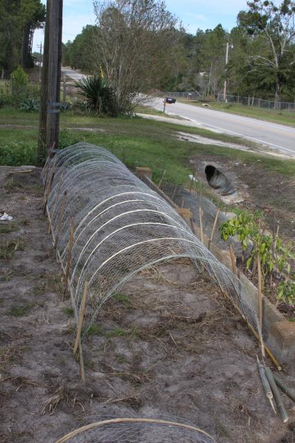 Bamboo Chicken Coop