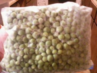 51084_peas.jpg