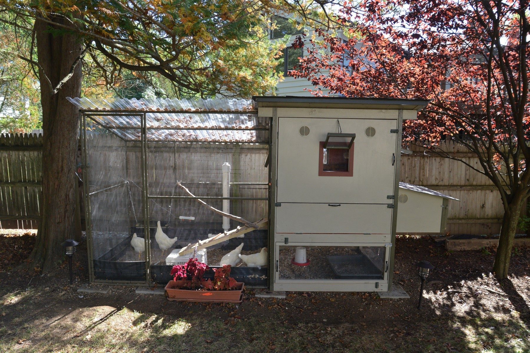 The Insulated & Detachable Chicken Coop BackYard Chickens Community