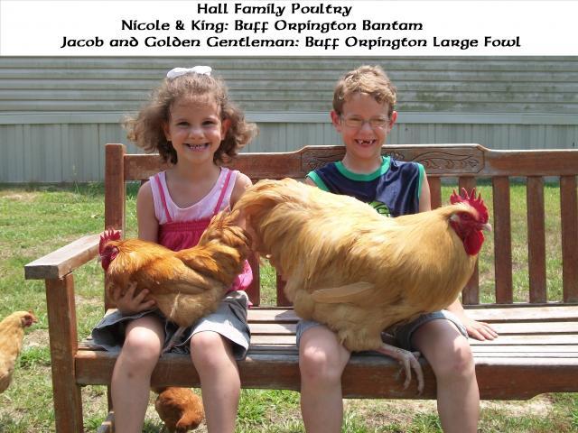 900x900px-LL-26f3c2d7_47716_nicole_and_jacob.jpeg