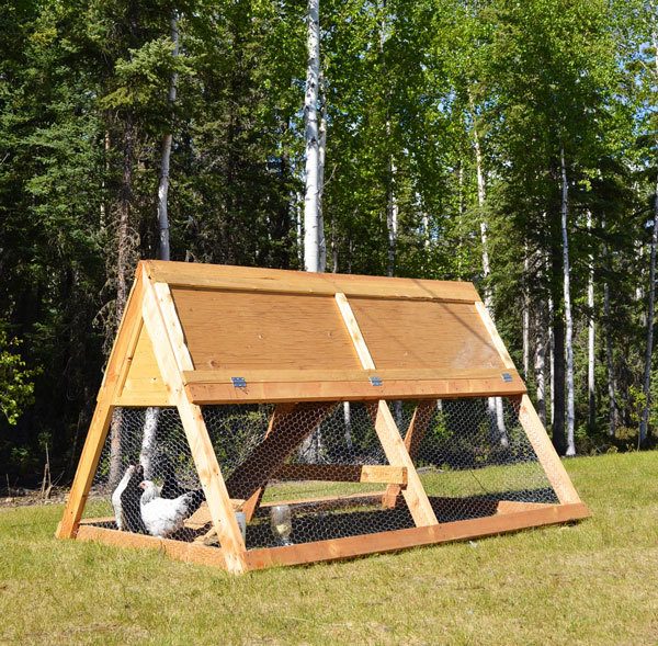 $100 Diy Portable Coop | BackYard Chickens - Learn How to Raise Chickens