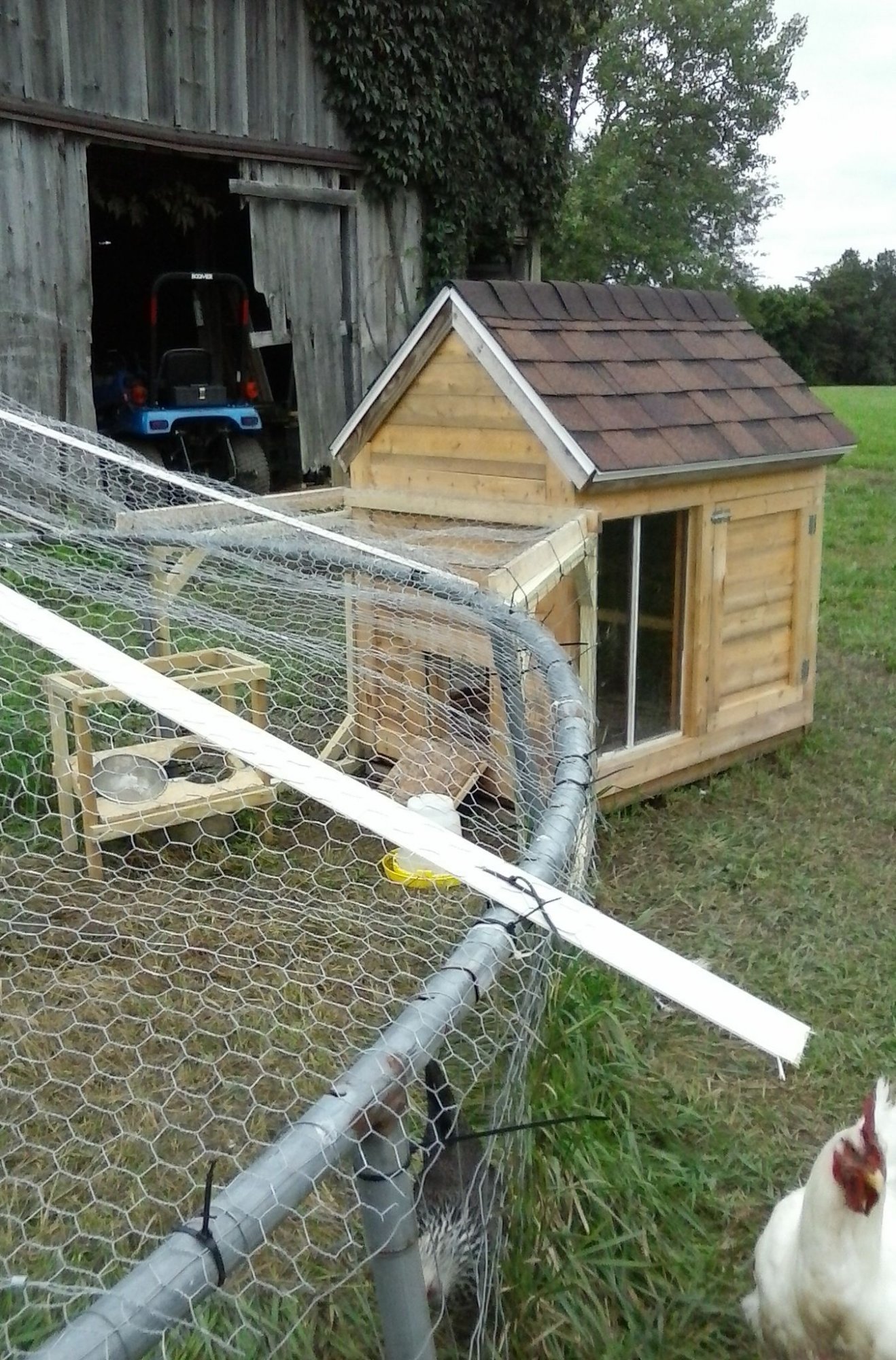 Almost finished small coop, pen | BackYard Chickens - Learn How to Raise  Chickens