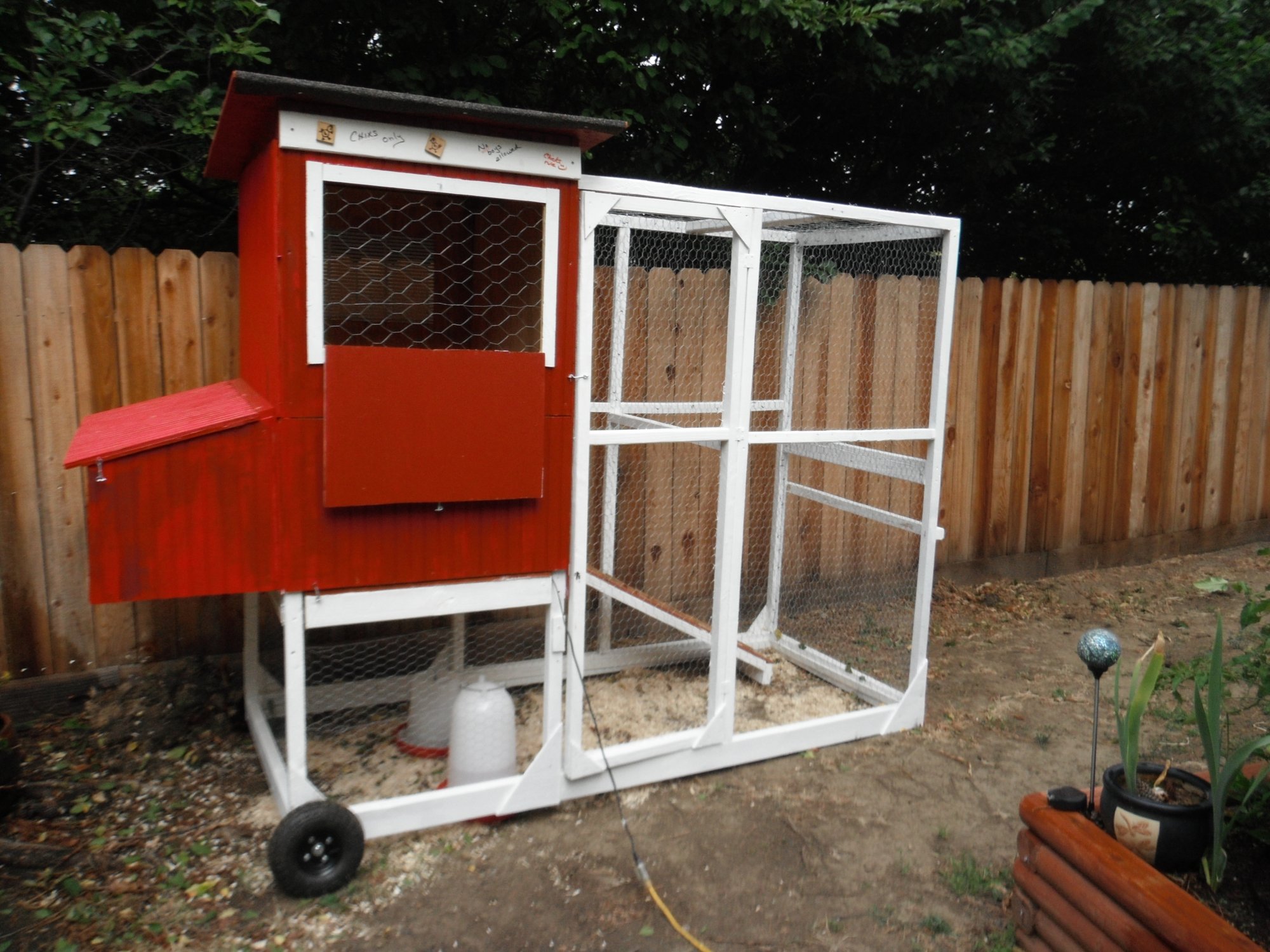 Chicks Only Chicken Tractor Backyard Chickens Learn How To Raise Chickens 