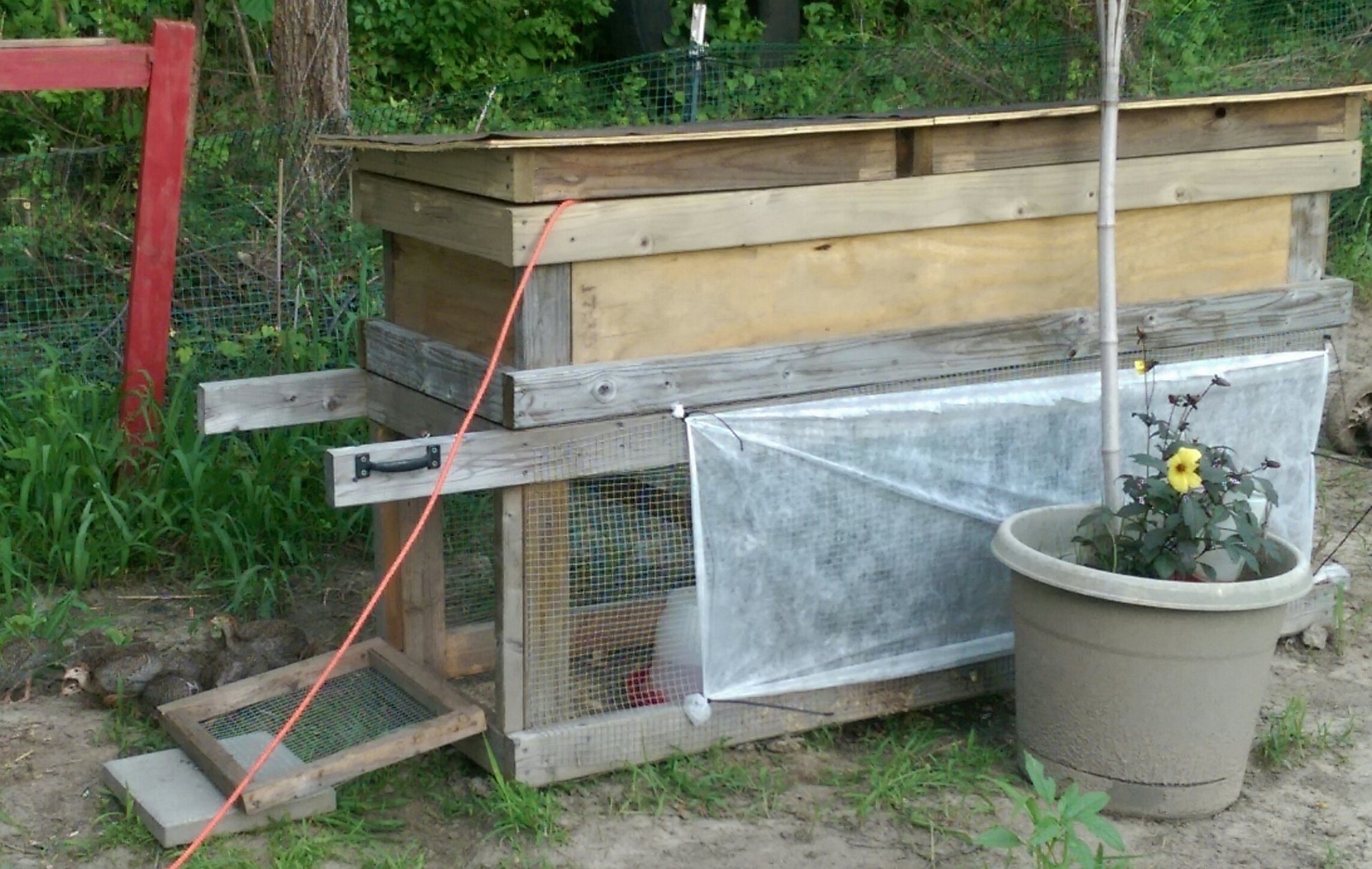 coleco's coop designs | BackYard Chickens - Learn How to Raise Chickens