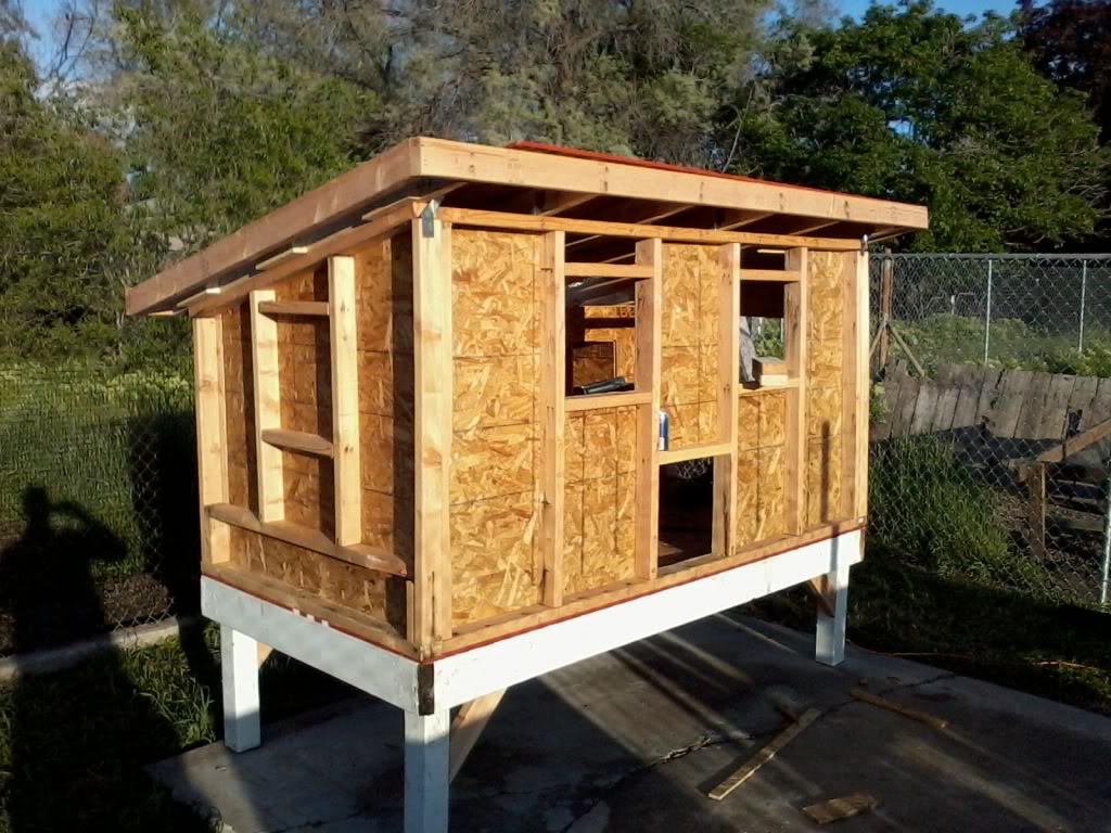 Coop Build | BackYard Chickens - Learn How to Raise Chickens