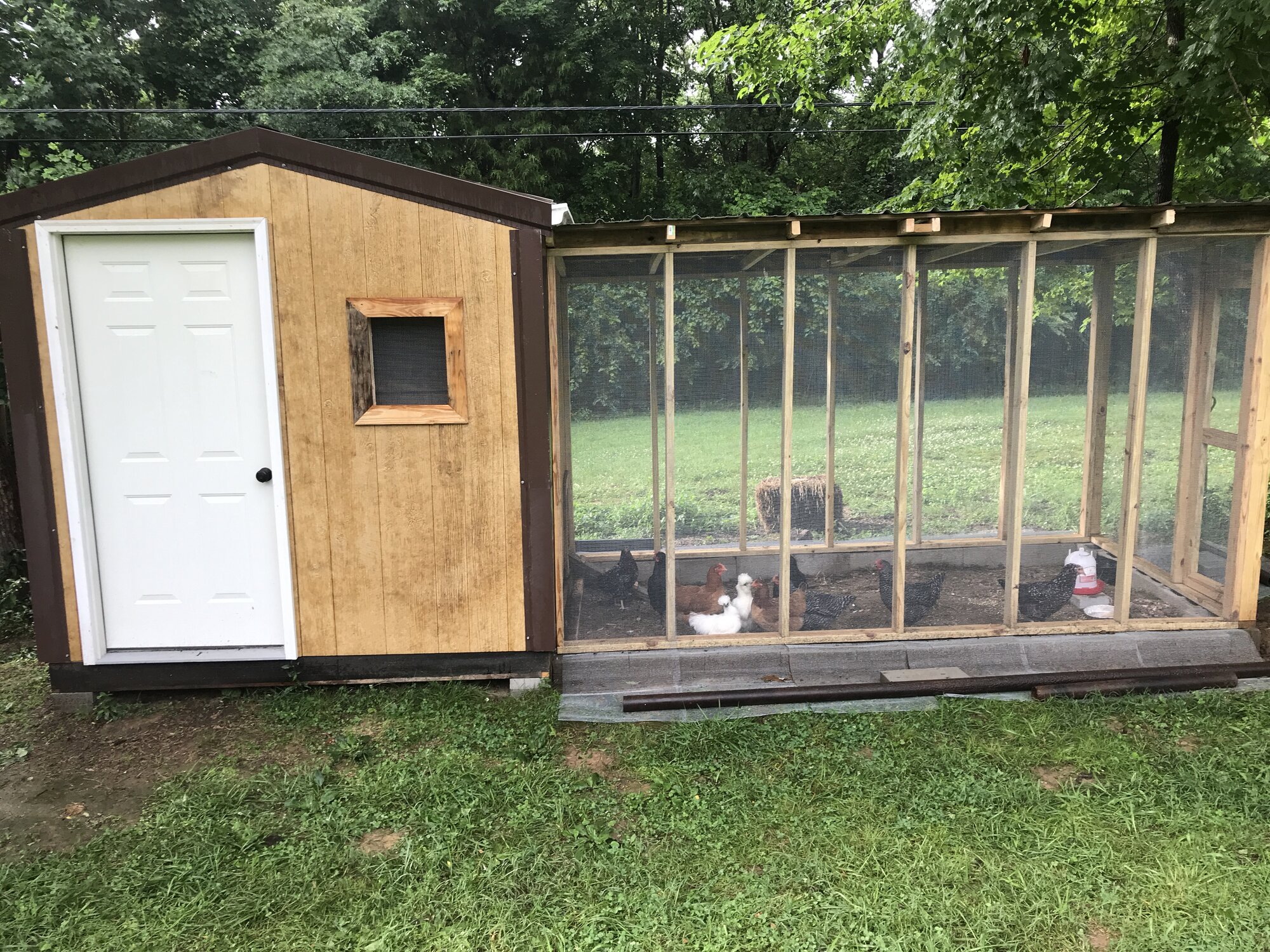 DIY She Shed Chicken Coop and Run - Construction and Plans in Middle TN |  BackYard Chickens - Learn How to Raise Chickens