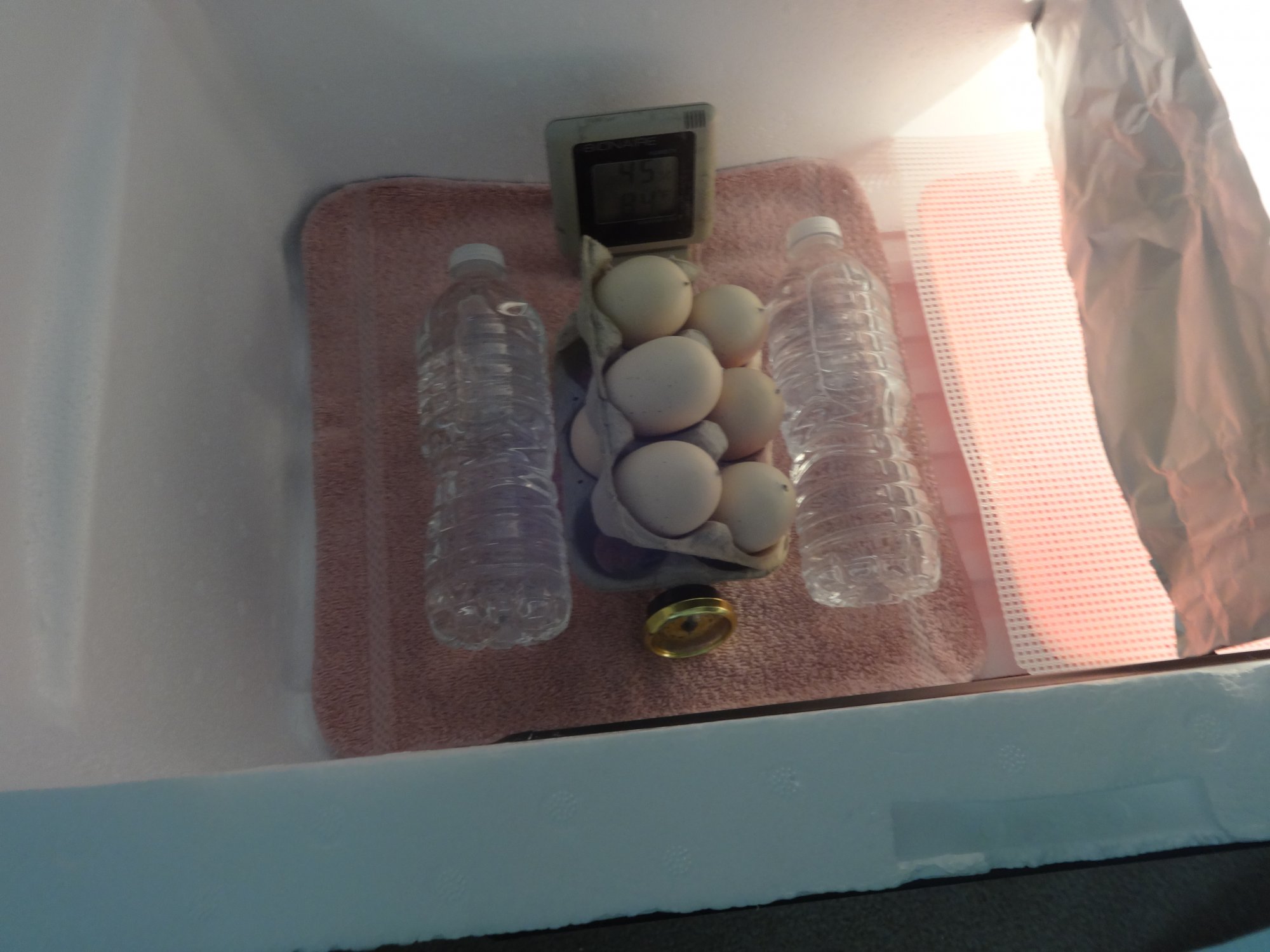 How to: Build a Homemade Incubator (Griffin Nest) | BackYard Chickens -  Learn How to Raise Chickens