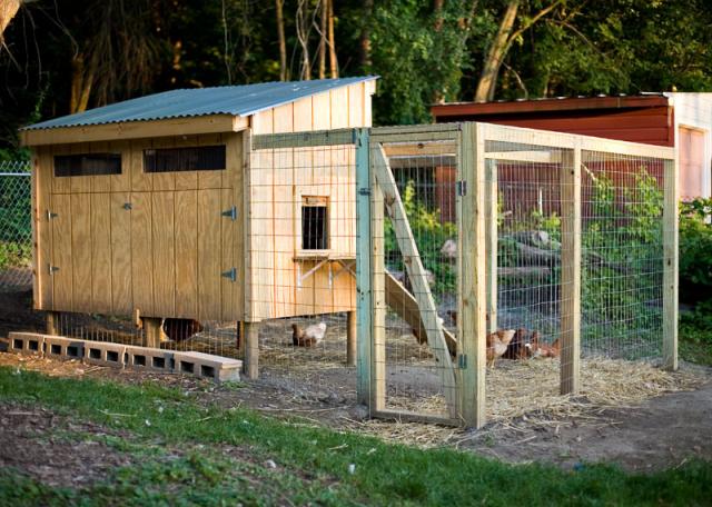 Pallet Coop Hybrid | BackYard Chickens - Learn How to Raise Chickens