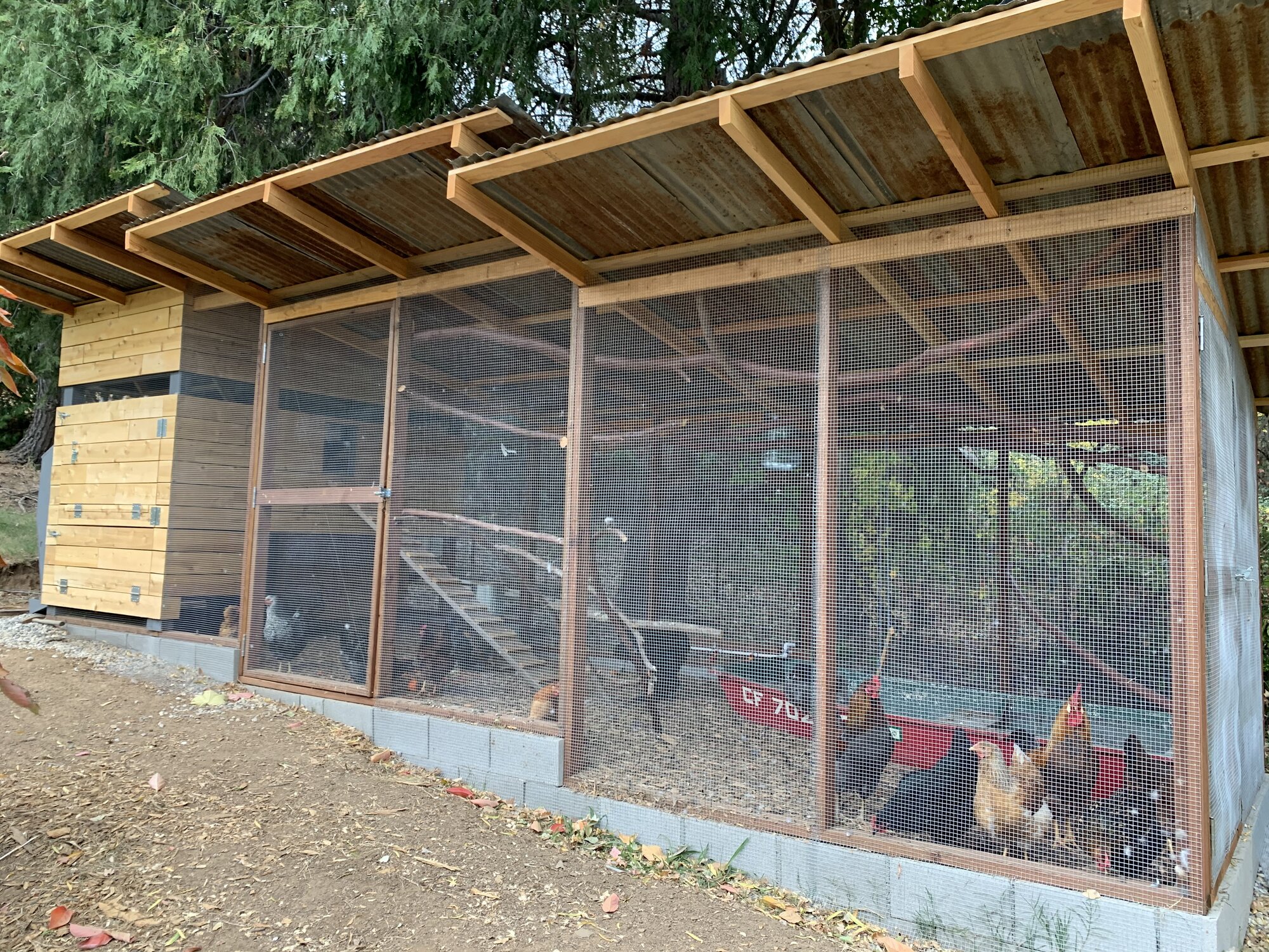 Perkolator's Modern Chicken Estate 2019 | BackYard Chickens - Learn How to  Raise Chickens