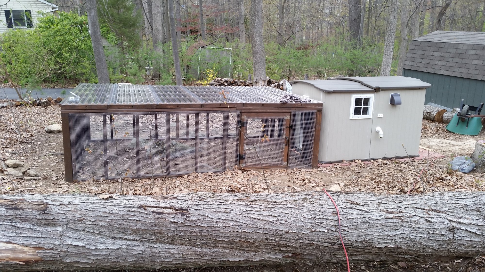 Plastic Shed Chicken Coop | BackYard Chickens - Learn How to Raise Chickens