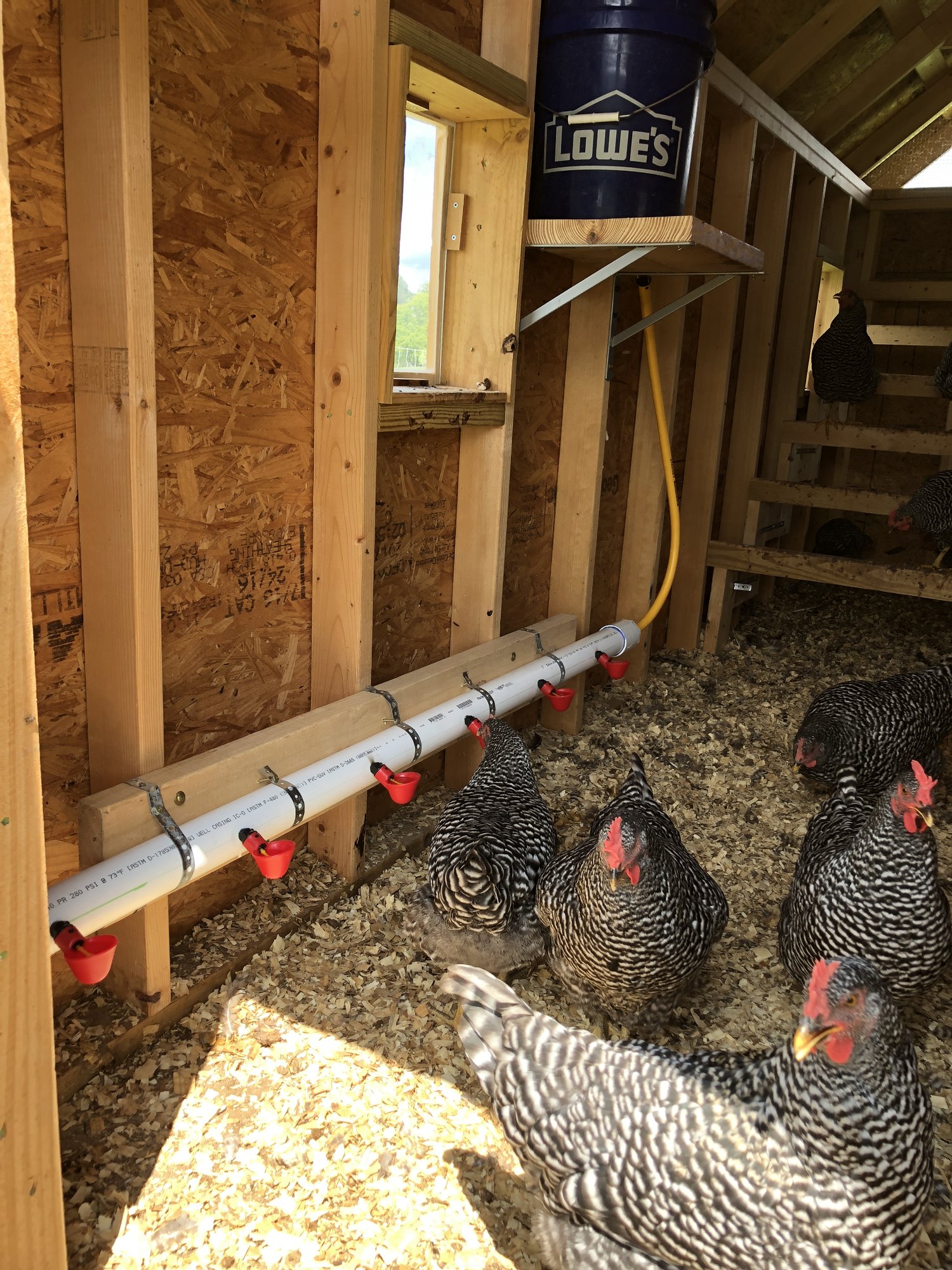 PVC gravity waterer | BackYard Chickens - Learn How to Raise Chickens