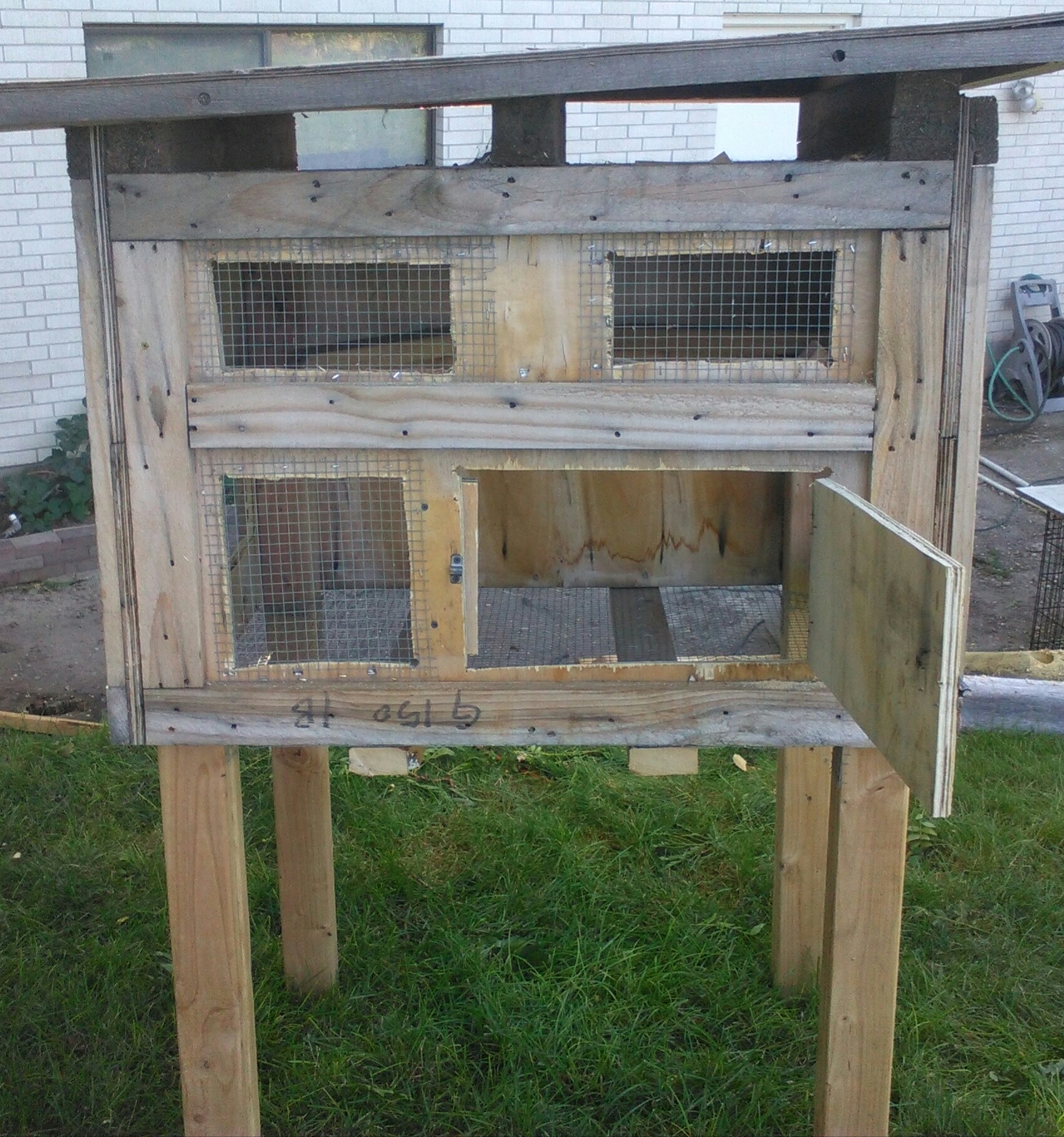 Simple DIY Pigeon Loft BackYard Chickens Learn How To Raise Chickens   Cover Image