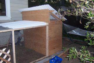 Simple Urban Coop | BackYard Chickens - Learn How to Raise Chickens