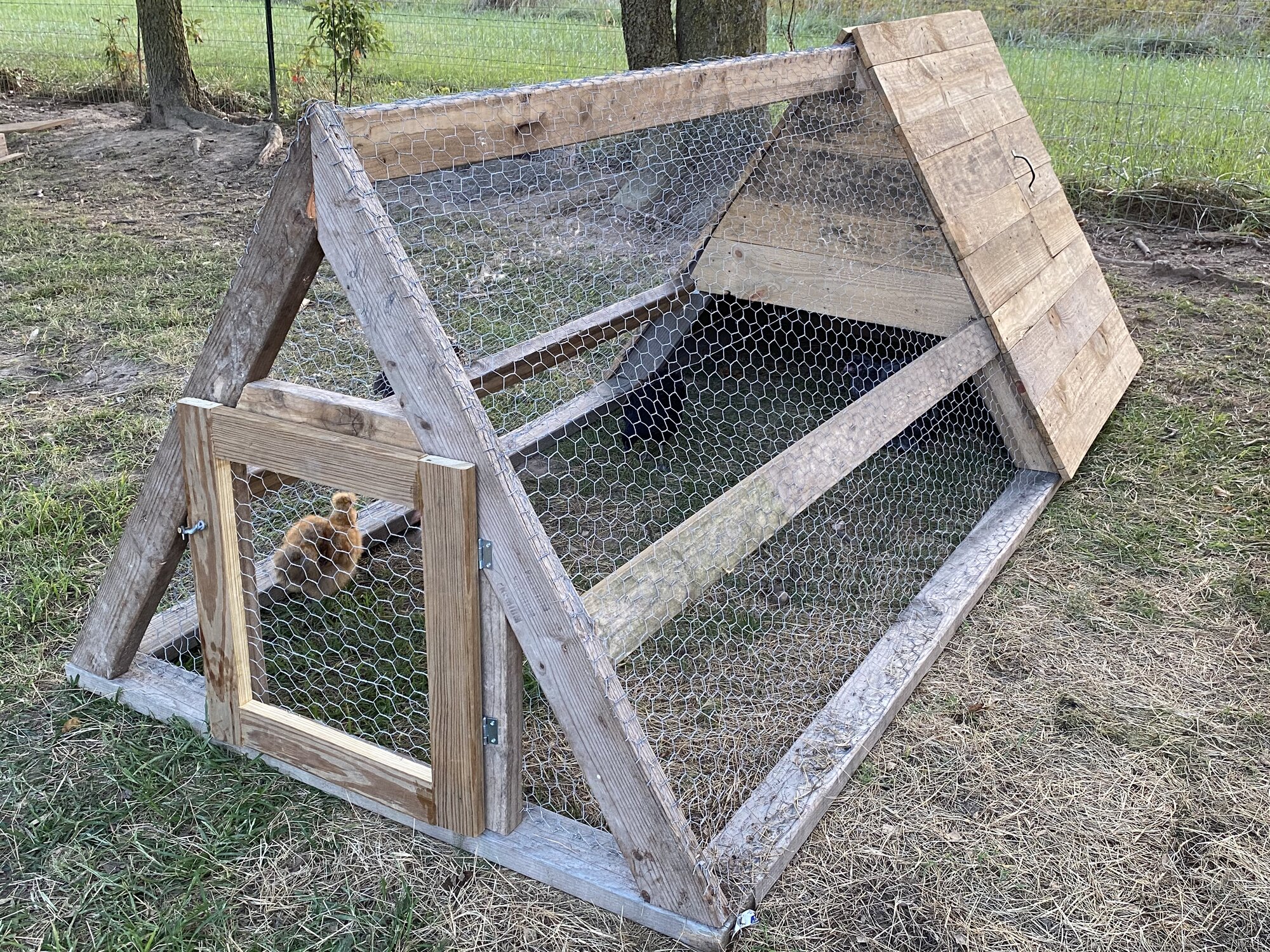 Wooden Pallet Mini Coop | BackYard Chickens - Learn How to Raise Chickens