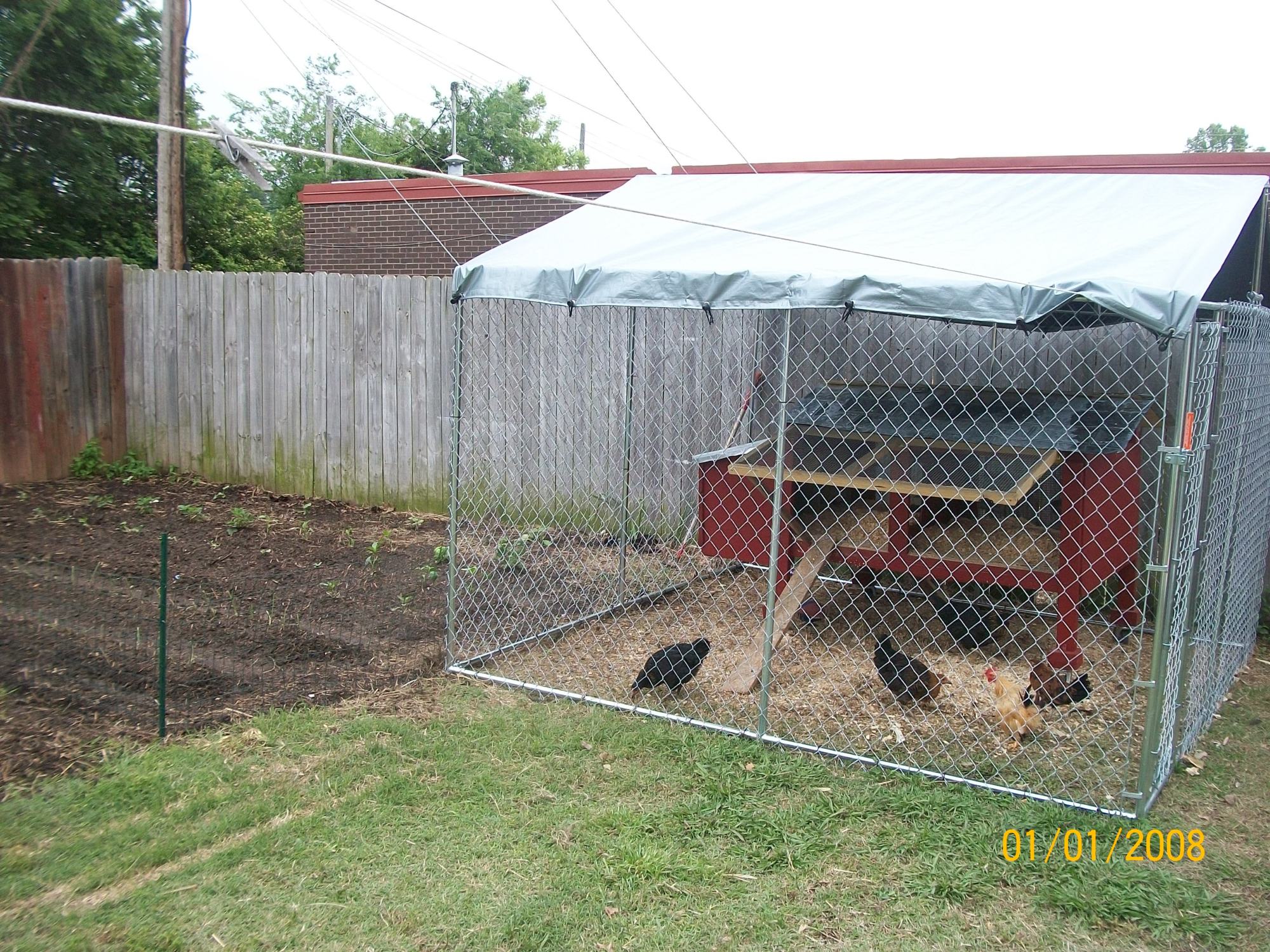 10x10 dog kennel for chickens best sale