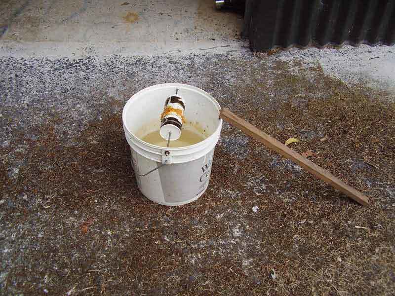 5 Gallon Bucket mouse trap | BackYard Chickens - Learn How to Raise Chickens