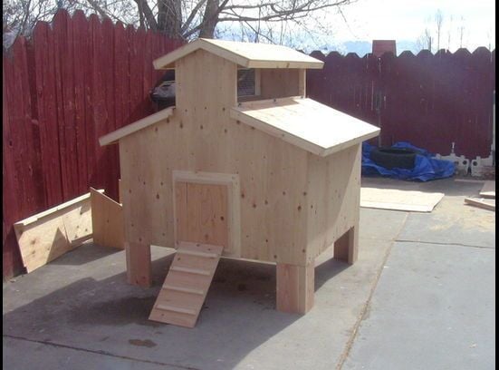 4 ft by 4ft coop will hold how many? | BackYard Chickens - Learn How to  Raise Chickens