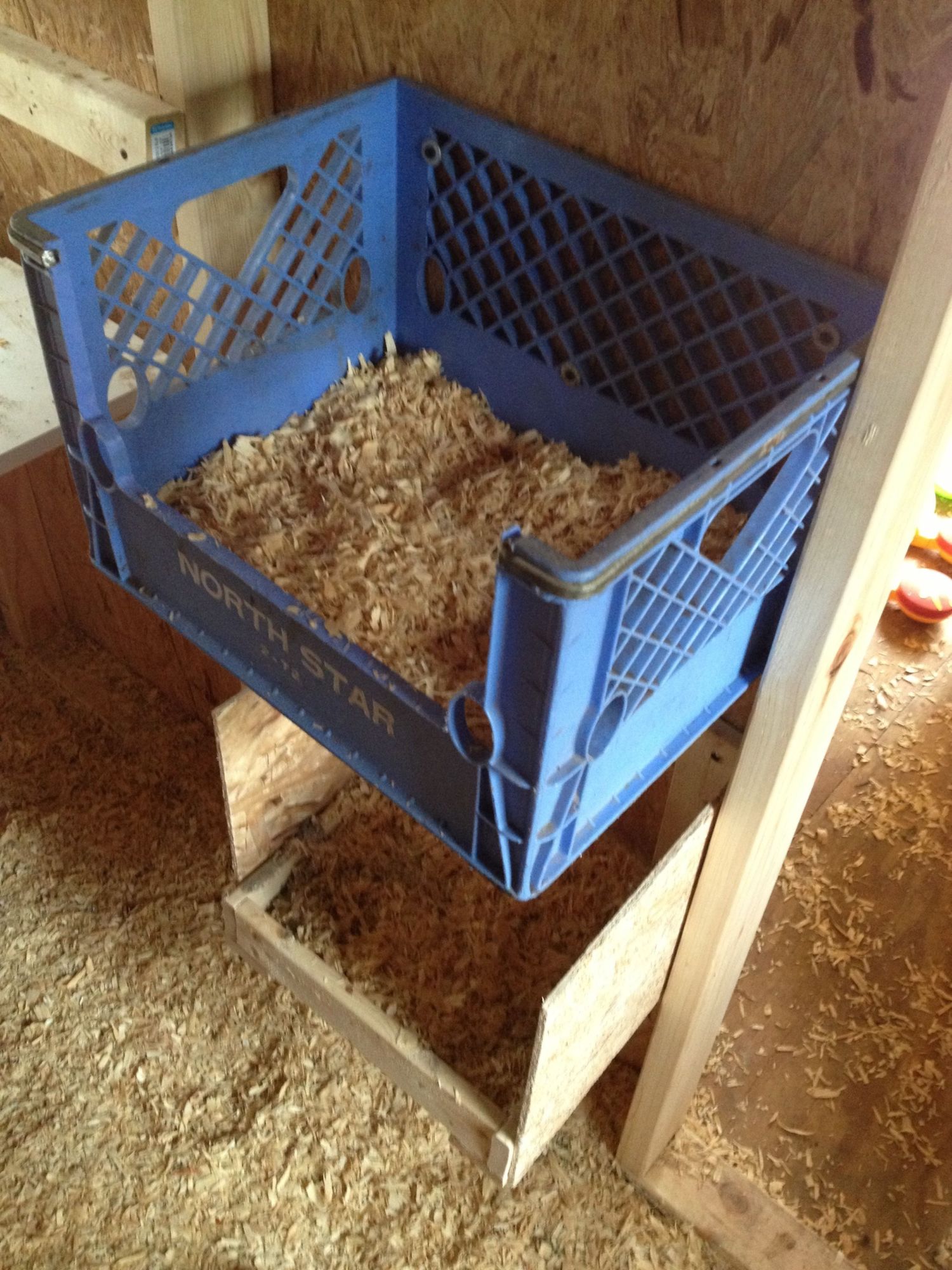 Nesting 'boxes' using large 5 gallon buckets? | BackYard Chickens - Learn  How to Raise Chickens