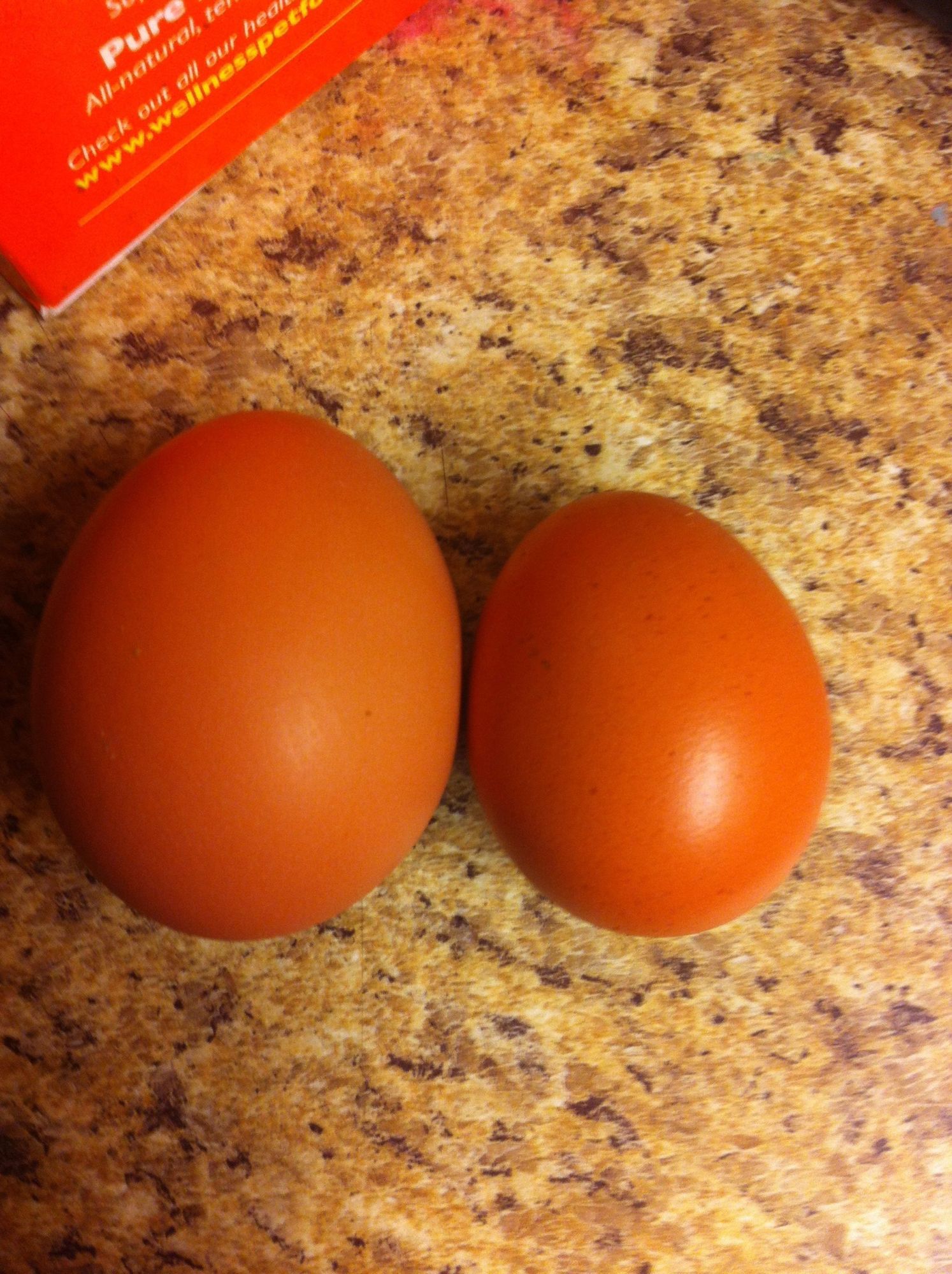 Post Your Red Star Eggs Page 2 Backyard Chickens Learn How To
