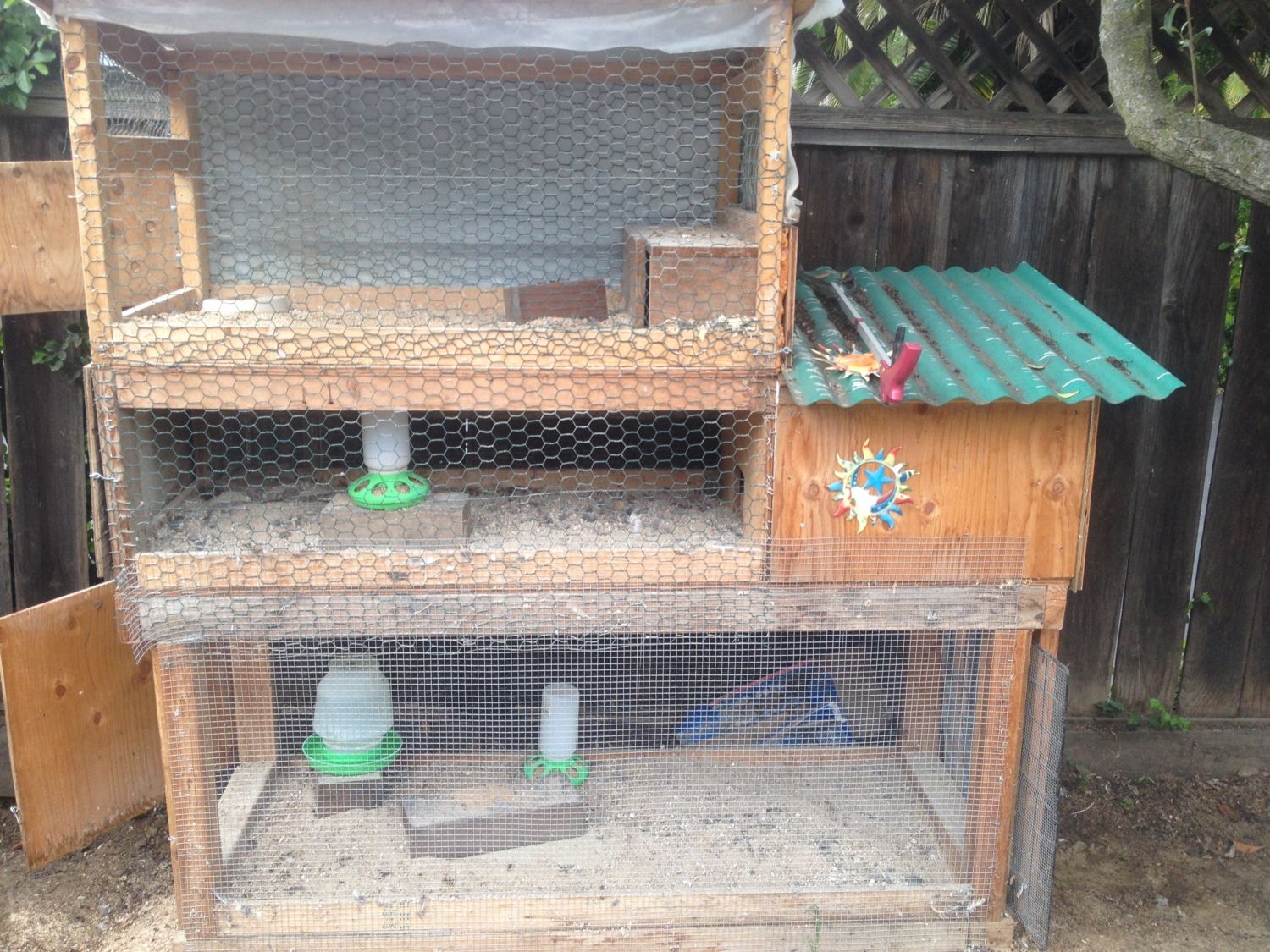 You think your cages are predator proof.... | BackYard Chickens - Learn How  to Raise Chickens
