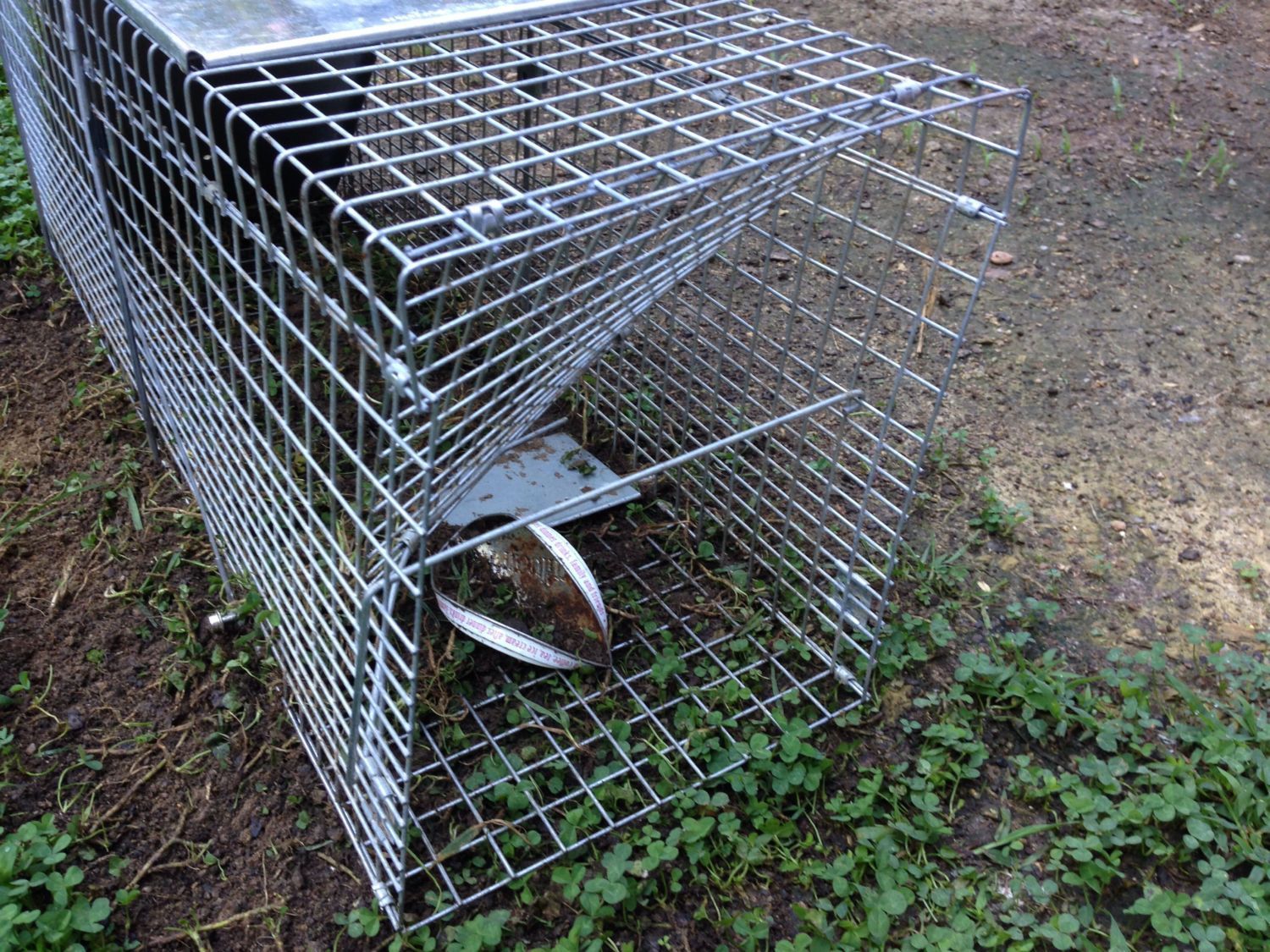 Live Cage Traps shopping - TRAP.NZ Forums