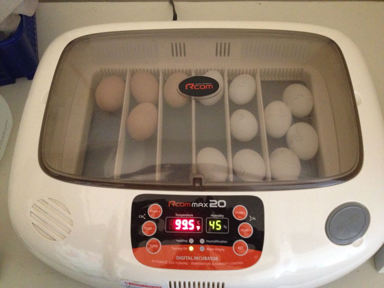 First try on the Rcom pro10- follow along as I review this incubator from  out of the box to hatch da | Page 2 | BackYard Chickens - Learn How to  Raise Chickens