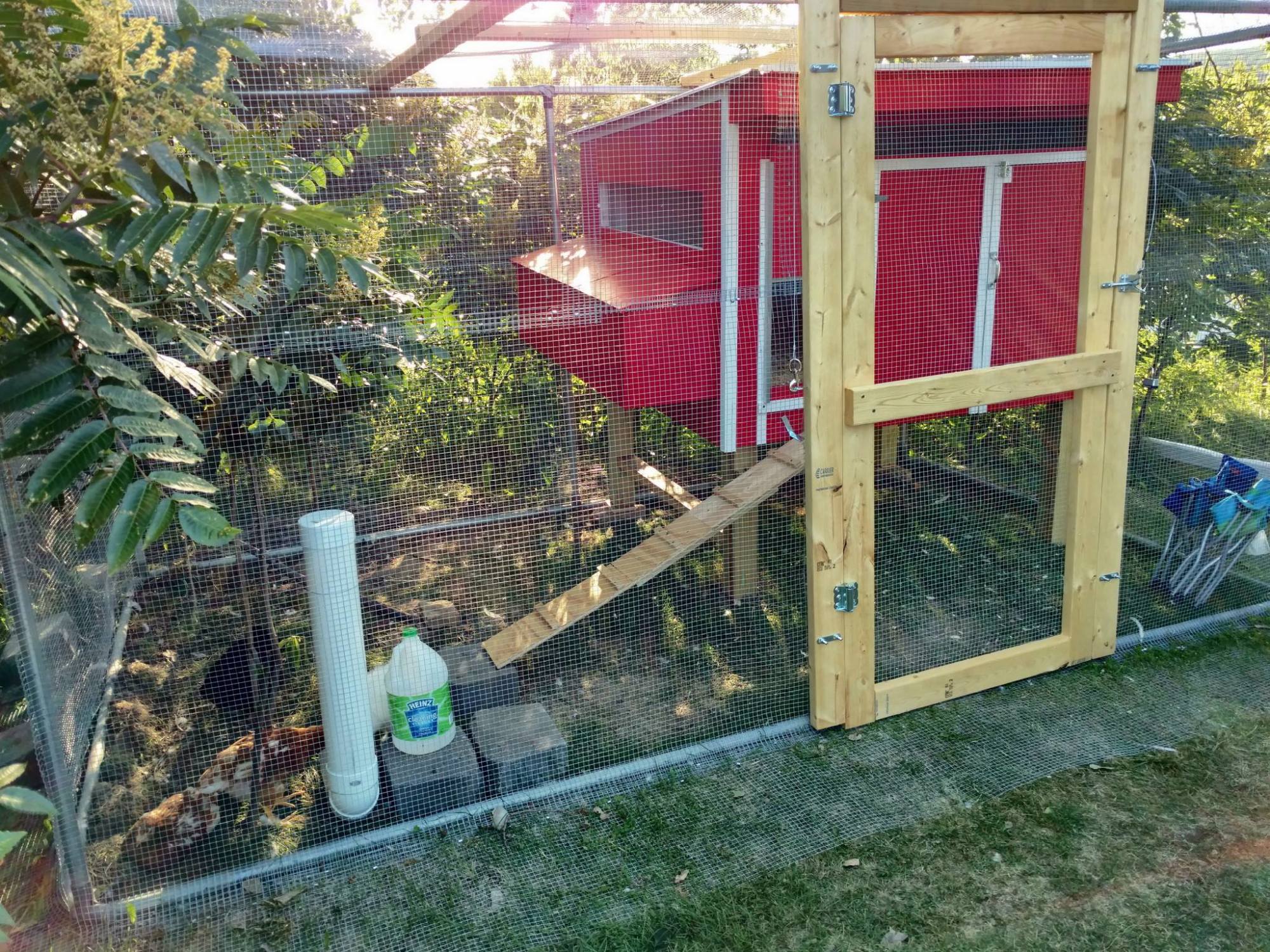 Chill's Chicken Coop | BackYard Chickens - Learn How to Raise Chickens